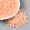 FGB Frosted Transparent Glass Seed Beads SEED-N013-04A-03-1
