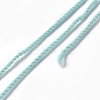 3-Ply Polyester Luminous Yarn OCOR-C003-01B-3