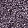 Glass Seed Beads X1-SEED-A011-3mm-148-2