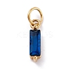 304 Stainless Steel Cubic Zirconia Pendants STAS-E487-21G-08-1