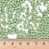 TOHO 6/0 Round Beads SEED-XTR06-PF0560-4