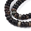 Natural Biotite Beads Strands G-T140-69A-3