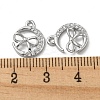 Brass Micro Pave Cubic Zirconia Charms LS-KK-H460-58P-3