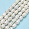 Natural Cultured Freshwater Pearl Beads Strands X-PEAR-J006-13A-2