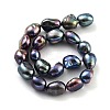 Dyed Natural Cultured Freshwater Pearl Beads Strands PEAR-P062-28F-3