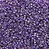 MIYUKI Delica Beads LS-X-SEED-J020-DB2509-2