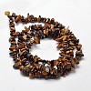 Natural Yellow Tiger Eye Chip Bead Strands LS-G-L444-01-2