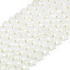 Natural Quartz Crystal Beads Strands G-P573-C03-01-3