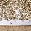 MIYUKI Delica Beads SEED-X0054-DB2396-4