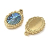 Oval 304 Stainless Steel Natural Shell Pendants Ion Plating(IP) STAS-U037-01G-01-2