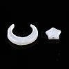Natural White Shell Beads Sets SSHEL-N032-52A-01-3