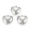 Non-Tarnish 316 Surgical Stainless Steel Pendants LS-STAS-C026-15A-P-1