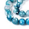 Dyed & Heated Natural Fire Crackle Agate Beads Strands G-N359-01B-06-4