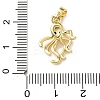 Brass Micro Pave Cubic Zirconia Pendants KK-I383-07G-02-3