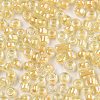 8/0 Glass Seed Beads SEED-A016-3mm-202-2