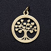 304 Stainless Steel Pendants STAS-T046-JA350-2A-1