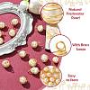 15Pcs Natural Cultured Freshwater Pearl Copper Wire Wrapped Pendants PALLOY-CJ00035-3
