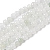 Natural Quartz Beads Strands G-B046-01D-1