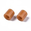 PE Fuse Beads LS-DIY-R013-78-3