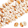   5 Strands  Natural Shell Beads Strands SSHEL-PH0001-17-1