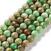 Dyed Natural Regalite/Imperial Jasper/Sea Sediment Jasper Beads Strands G-B124-C01-12-1