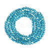 Transparent Glass Beads Strands EGLA-N028-01A-A05-3