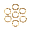 Ion Plating(IP) 304 Stainless Steel Closed Jump Rings STAS-G393-06G-07-1