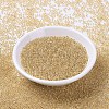 MIYUKI Round Rocailles Beads SEED-X0054-RR0195-2