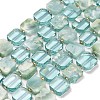 Natural Glass Beads Strands G-Z106-E01-2