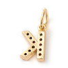 Brass Micro Pave Colorful Cubic Zirconia Charms ZIRC-F092-01-K-2