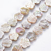 Electroplated Natural Freshwater Shell Beads Strands SHEL-N026-164-1