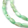 Natural Freshwater Shell Dyed Beads Strands SHEL-M018-13-03-3