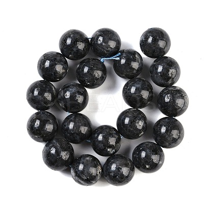 Natural Larvikite Beads Strands G-G118-B02-01-1