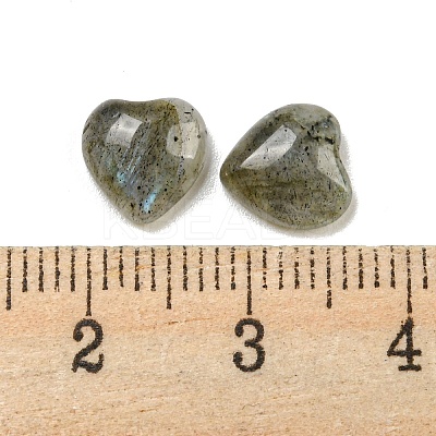 Natural Labradorite Cabochons G-H309-01-07-1
