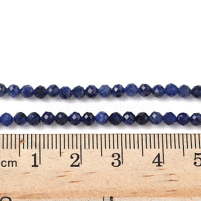 Natural Sodalite Beads Strands G-L622-C04-3mm-1
