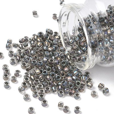 TOHO 6/0 Round Beads X-SEED-TR06-0266-1