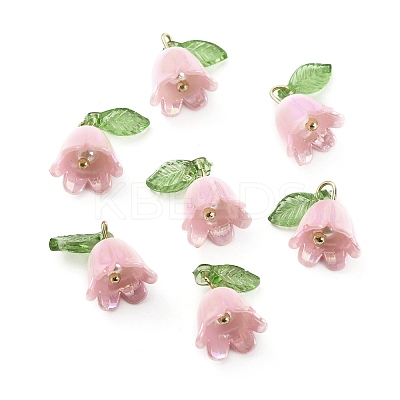 Opaque Resin Pendants CRES-CJC0009-05G-02-1