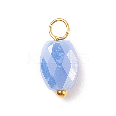 Electroplate Glass Pendants PALLOY-JF01541-04-1