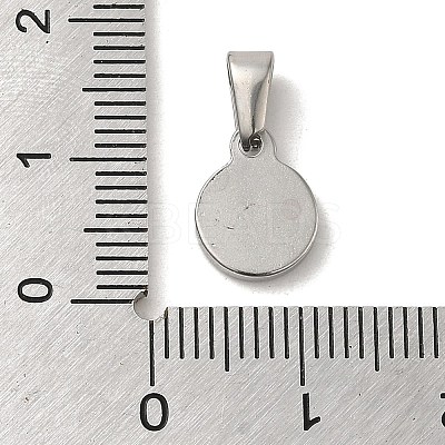 Non-Tarnish 304 Stainless Steel Charms STAS-B053-01P-1