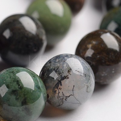 Round Natural Indian Agate Gemstone Bead Strands G-J333-07-10mm-1