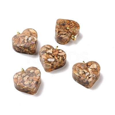 Transparent Resin Natural Imperial Jasper Dyed Chips Pendants G-E185-12G-04-1