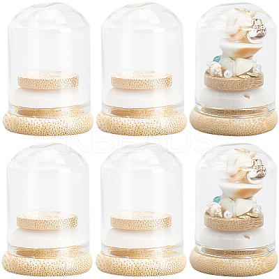 Clear Glass Dome Cover CON-SC0001-05A-1