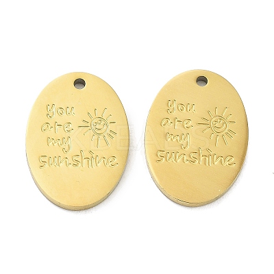 Ion Plating(IP) 316L Surgical Stainless Steel Pendants STAS-D029-22G-1