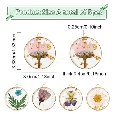5Pcs 5 Styles Transparent Clear Epoxy Resin Pendants RESI-YW0004-21-1