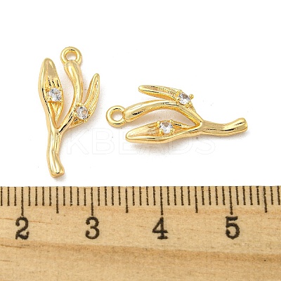 Brass Micro Pave Clear Cubic Zirconia Pendant KK-H460-22G-1