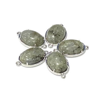 Brass Natural Labradorite Links connectors G-E398-04Q-1