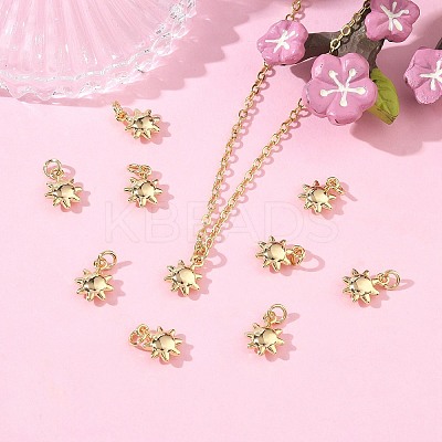 SHEGRACE Brass Charms XGRQ3D331-470G-1