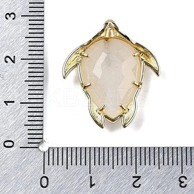 Natural Moonstone Pendants G-U019-02G-03-1