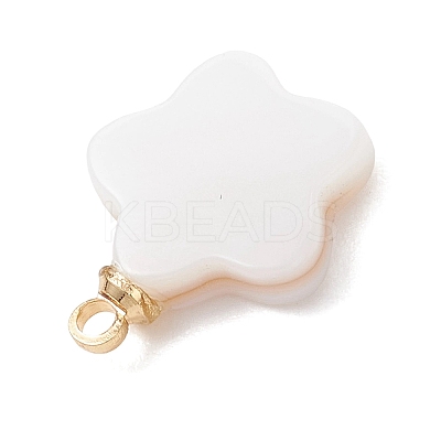 5Pcs 5 Styles Natural Shell Pendants PALLOY-JF04892-1