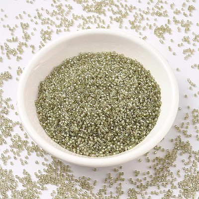 MIYUKI Delica Beads X-SEED-J020-DB1766-1